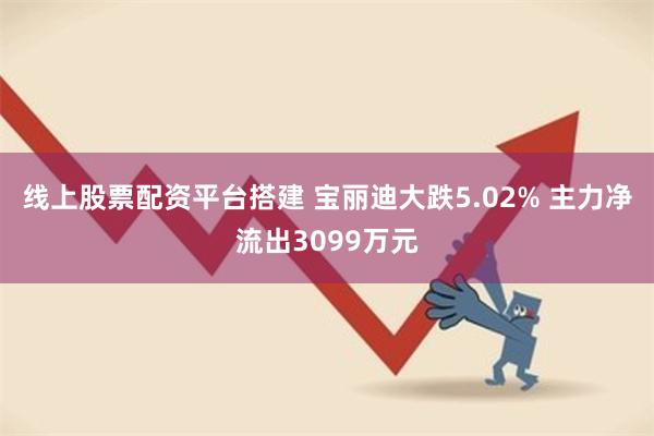 线上股票配资平台搭建 宝丽迪大跌5.02% 主力净流出3099万元