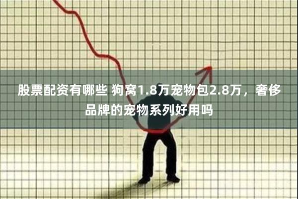 股票配资有哪些 狗窝1.8万宠物包2.8万，奢侈品牌的宠物系列好用吗