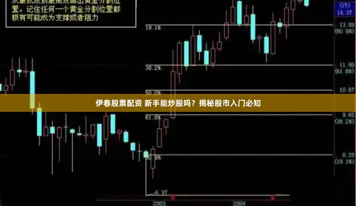 伊春股票配资 新手能炒股吗？揭秘股市入门必知